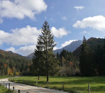 117907009 3215432021883586 8298570864934203382 n 360x320