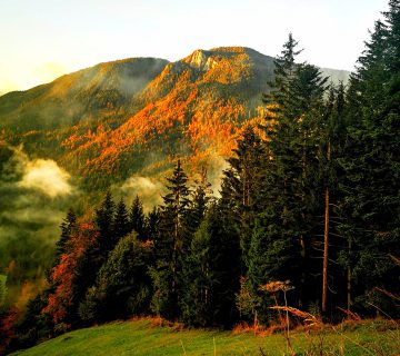 121162016 3382432915183495 4251581171884482275 n 360x320