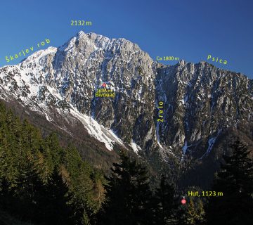 35328520 1760187944074675 7676512725949743104 n 360x320