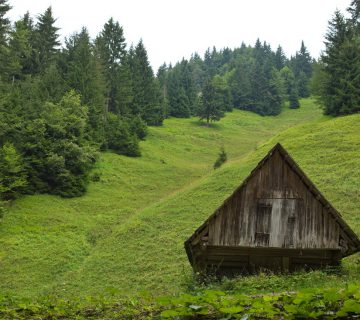 Dom pod storzicem PD Trzic 02 360x320