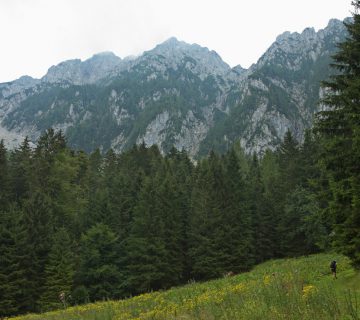 Dom pod storzicem PD Trzic 05 360x320