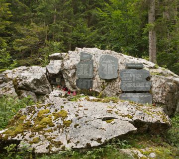 Dom pod storzicem PD Trzic 06 360x320