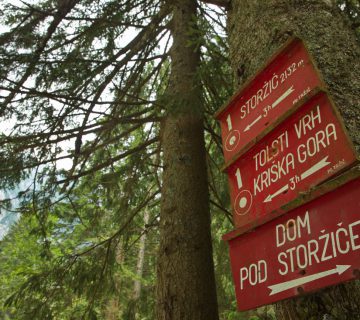 Dom pod storzicem PD Trzic 08 360x320