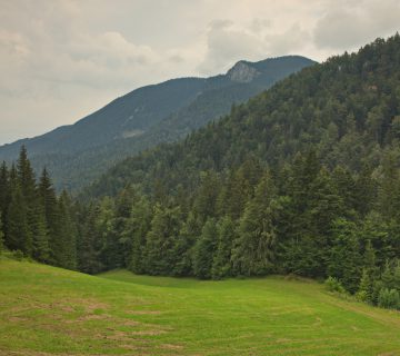 Dom pod storzicem PD Trzic 09 360x320