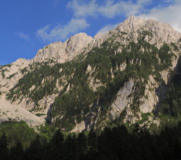 Dom pod storzicem PD Trzic 10 360x320