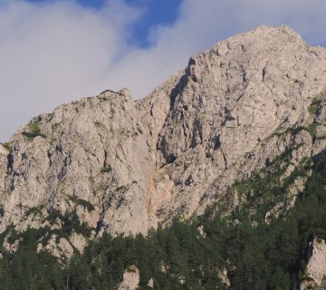 Dom pod storzicem PD Trzic 11 360x320