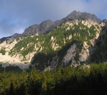 Dom pod storzicem PD Trzic 12 360x320