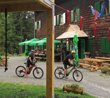 Dom pod storzicem PD Trzic 16 360x320