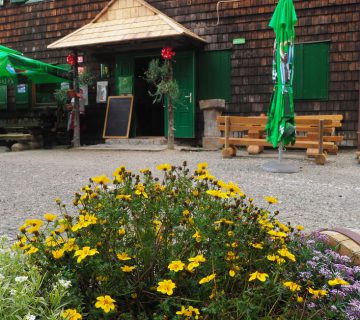 Dom pod storzicem PD Trzic 17 360x320